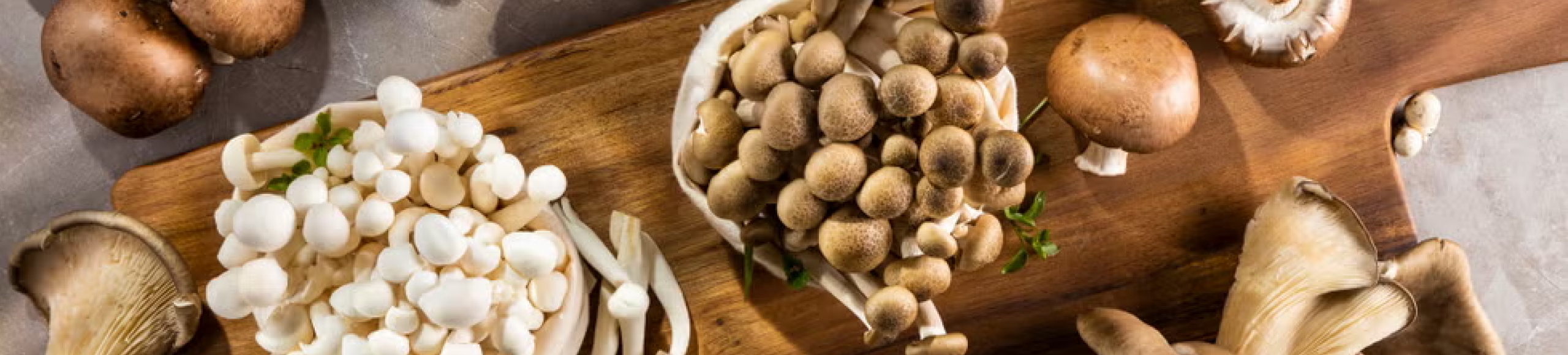 table of mushrooms