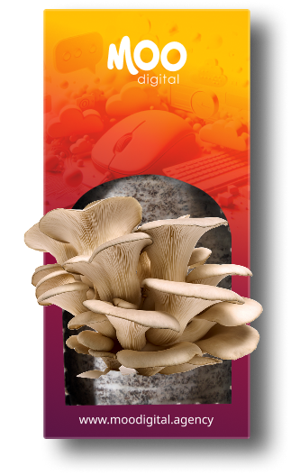 MOO digital Box - White Oyster Mushroom