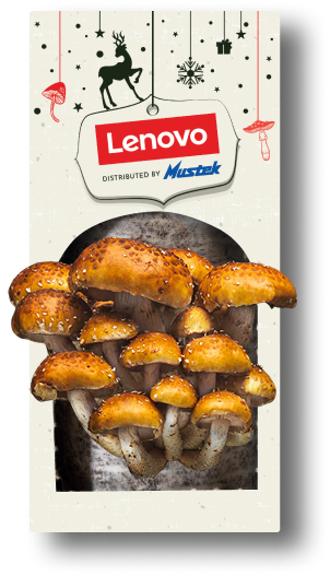 Lenovo Box - Chestnut Mushroom